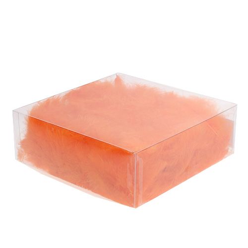 Artículo Plumas cortas 30g Naranja
