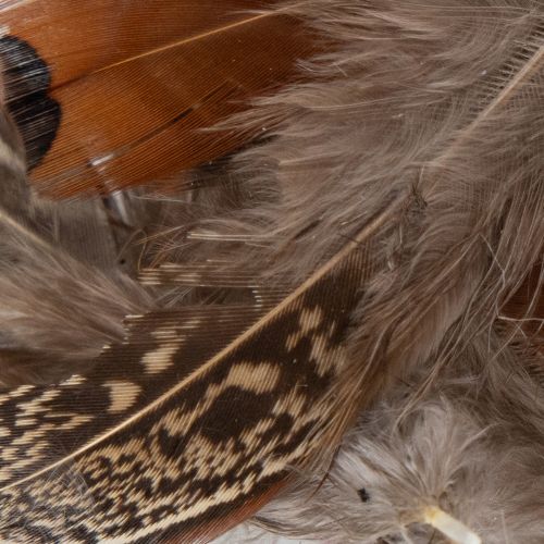 Artículo Plumas para manualidades versátiles, diseño creativo e ideas de decoración, 5 cm, 3 g