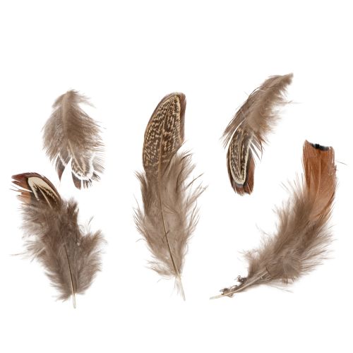 Artículo Plumas para manualidades versátiles, diseño creativo e ideas de decoración, 5 cm, 3 g