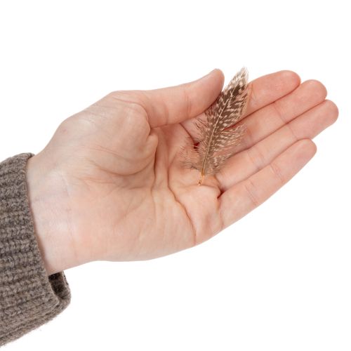 Artículo Plumas para manualidades versátiles, diseño creativo e ideas de decoración, 5 cm, 3 g