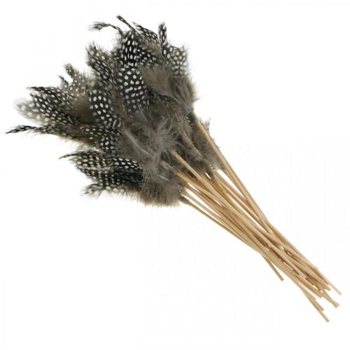Artículo Plumas decorativas punteadas en el palo Plumas reales de gallina de Guinea 4-8cm 24 piezas