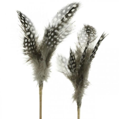 Artículo Plumas decorativas salpicadas en el palo plumas reales de gallina de guinea 4-8cm 24pcs