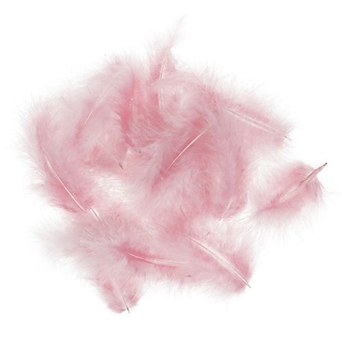 Floristik24 Plumas cortas 30g rosa