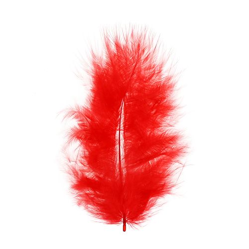 Artículo Plumas cortas 30g rojo