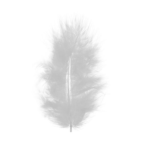 Floristik24 Plumas cortas 30g blanco