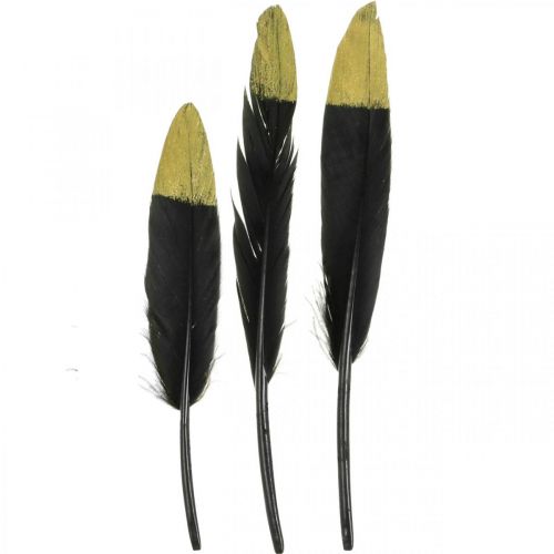 Floristik24 Plumas decorativas plumas reales negras, doradas para manualidades 12-14cm 72ud