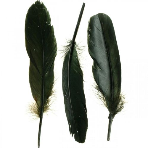 Floristik24 Plumas decorativas plumas de pájaro negro para manualidades 14-17cm 20g