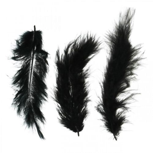 Plumas Negras Plumas de ave reales para manualidades  Decoración de primavera 20g-04158