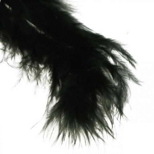 Artículo Plumas Negras Plumas de ave reales para manualidades Decoración de primavera 20g