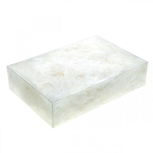 Artículo Plumas Blancas Plumas de ave reales para decorar decoraciones de Pascua 20g