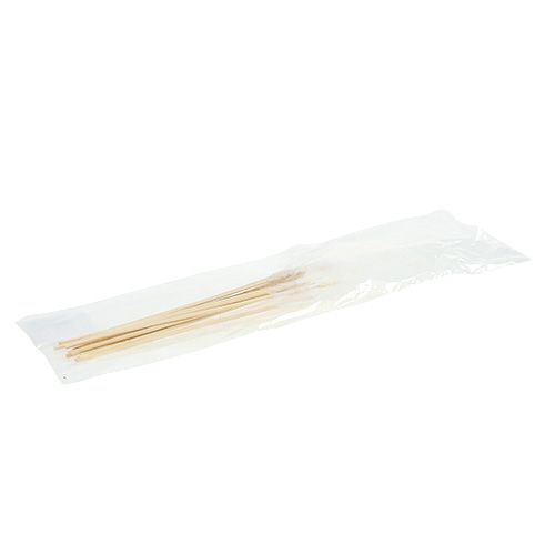 Floristik24 Plumas sobre varilla Blanco L35cm 12pcs