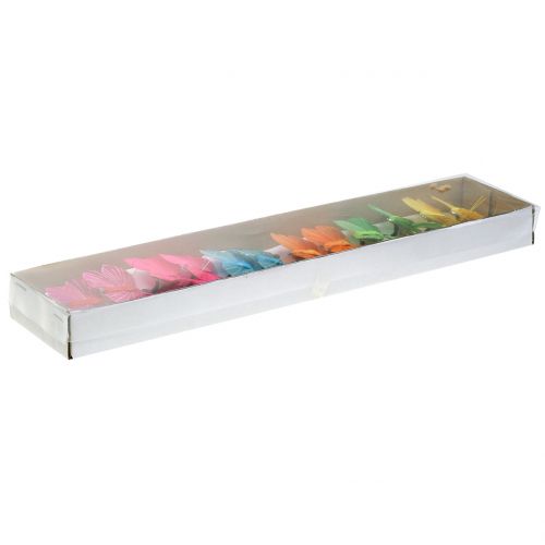 Floristik24 Mariposa de plumas en clip de colores 6cm 12ud