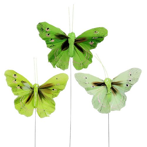 Floristik24 Pluma mariposa 8,5cm verde 12pcs