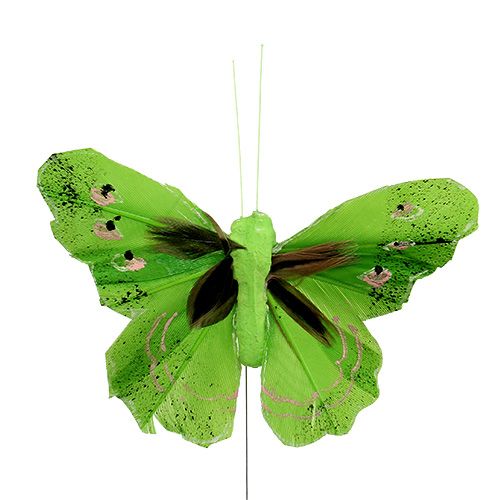 Floristik24 Pluma mariposa 8,5cm verde 12pcs