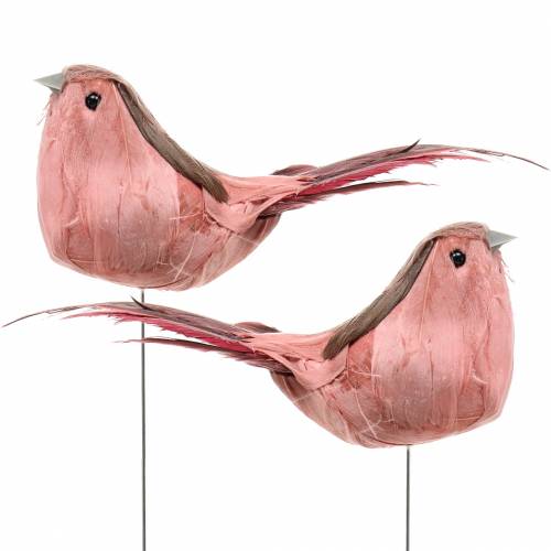 Floristik24 Pluma pájaro en alambre rosa 12cm 4uds