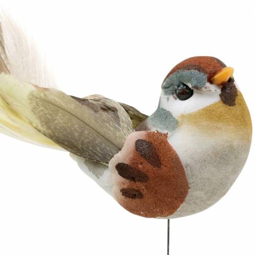 Floristik24 Pájaro en alambre 5.5cm de color 9pcs