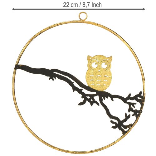 Artículo Decoración ventana búho en rama otoño, anillo decorativo metal 22cm