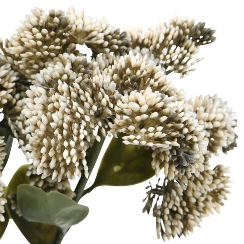 Artículo Stonecrop crema sedum stonecrop flores artificiales 48cm 4pcs