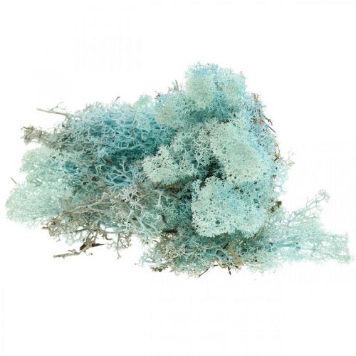 Artículo Musgo de decoración azul claro aguamarina musgo de reno musgo artesanal 400g