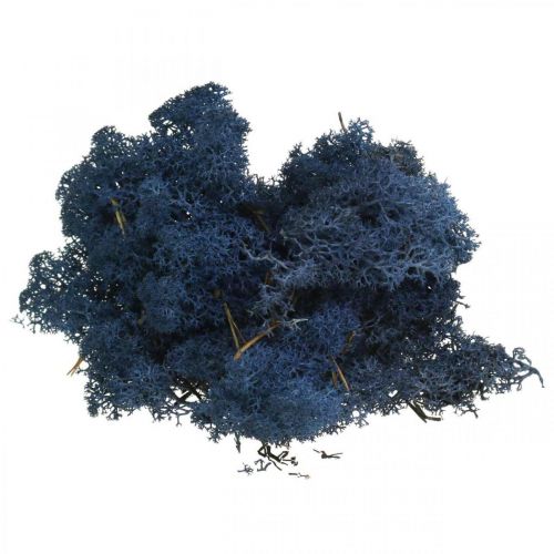 Artículo Deco musgo azul musgo seco para manualidades coloreado 500g