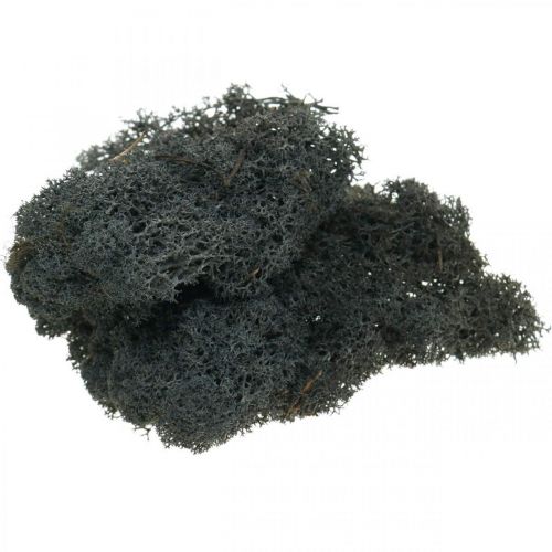 Musgo Decorativo Negro conserva musgo de Islandia para manualidades 400g