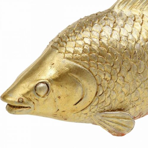 Floristik24 Pez Decorativo Estatua Dorada de Pie Escultura Pez Poliresina Pequeña L18cm