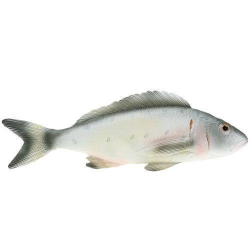 Floristik24 Perca de peces decorativa L27.5cm