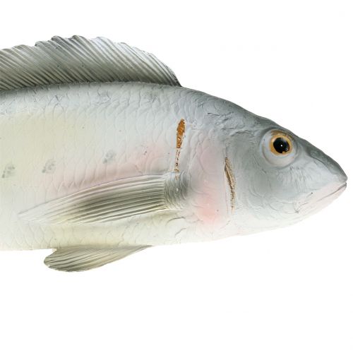 Floristik24 Perca de peces decorativa L27.5cm