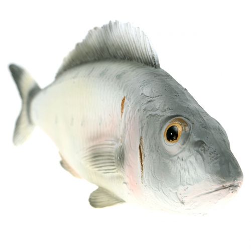 Floristik24 Perca de peces decorativa L27.5cm