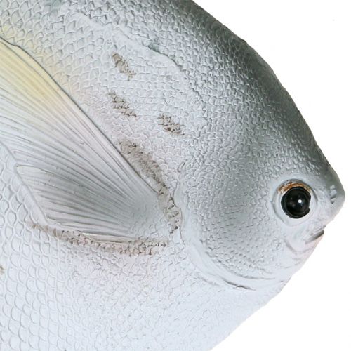 Floristik24 Pez decorativo L21cm