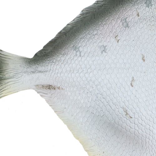 Floristik24 Pez decorativo L21cm