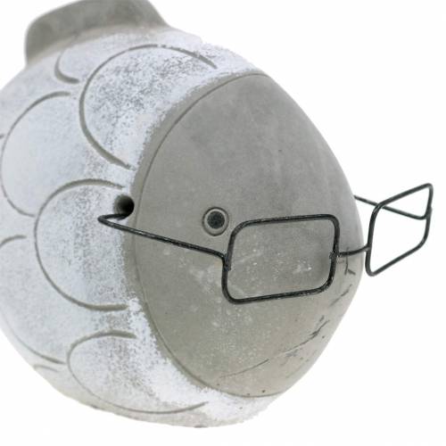 Floristik24 Deco pez con gafas azul blanco 15,5/14,5cm 2uds