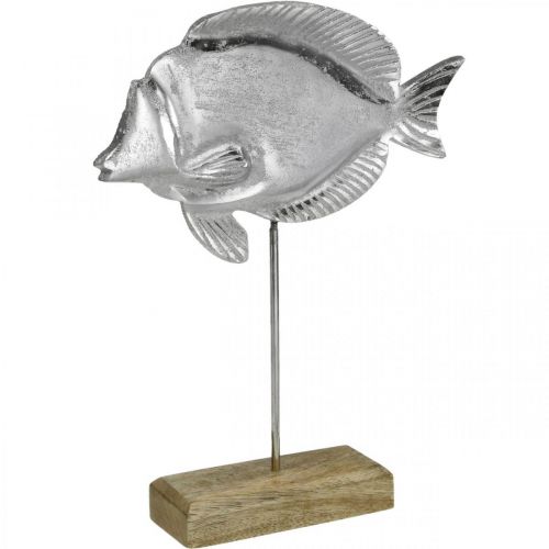 Artículo Pez decorativo, decoración marítima, pez de metal plateado, color natural Al 28,5 cm