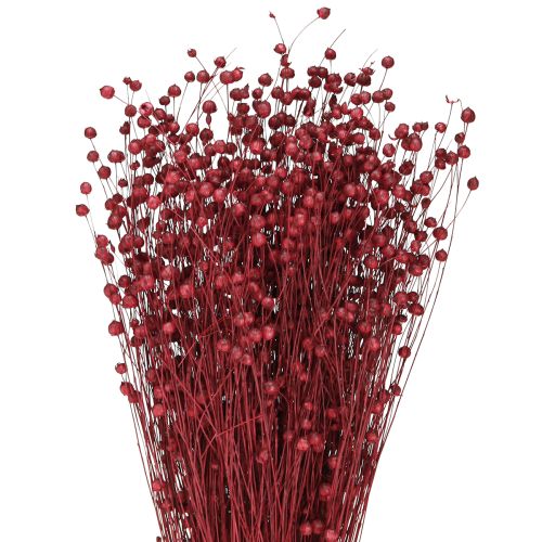 Lino Burdeos Rojo Seco Decoración Flores Secas L55cm 80g
