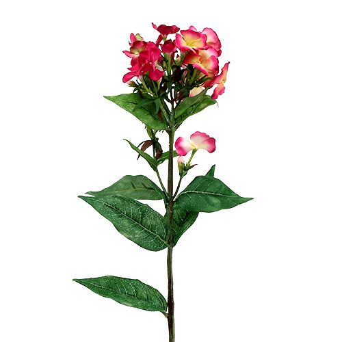 Flor de llama rosa 72cm