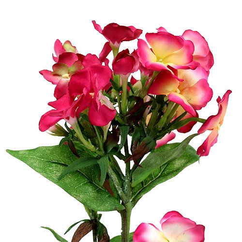 Floristik24 Flor de llama rosa 72cm