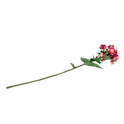 Floristik24 Flor de llama rosa 72cm