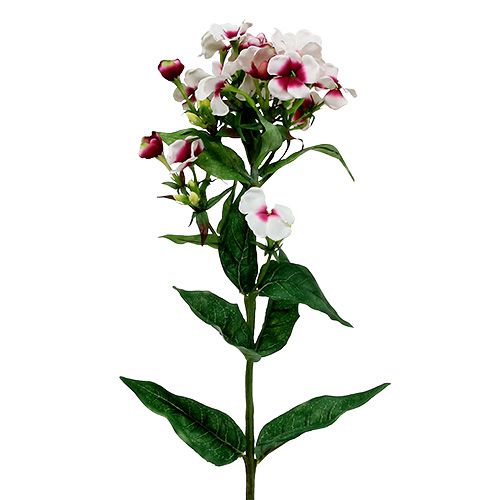 Floristik24 Flor de llama blanca 72cm