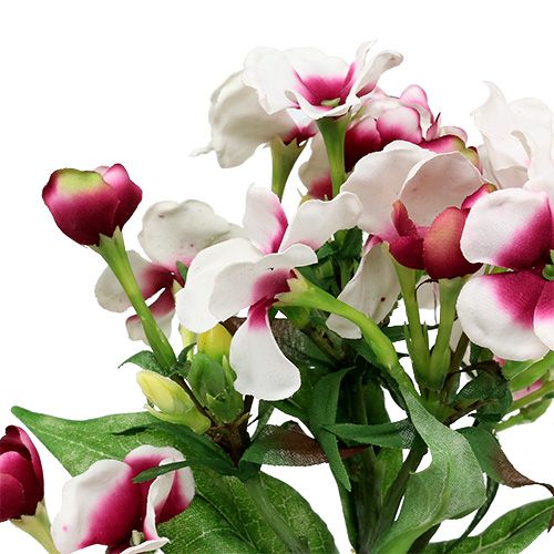 Floristik24 Flor de llama blanca 72cm