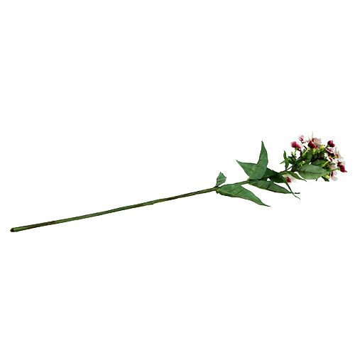 Floristik24 Flor de llama blanca 72cm