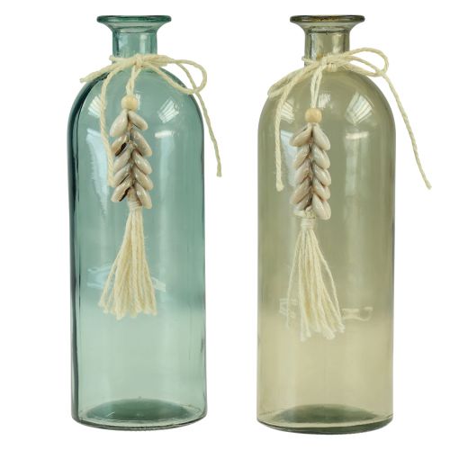 Floristik24 Botellas jarrón de vidrio decorativo conchas de cauri marítimo H26cm 2 piezas