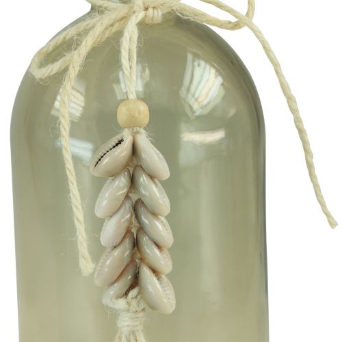 Artículo Botellas jarrón de vidrio decorativo conchas de cauri marítimo H26cm 2 piezas
