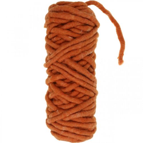 Floristik24 Cordón de fieltro, cordón de lana, cordón de fieltro, lana de oveja, yute, naranja, L30m