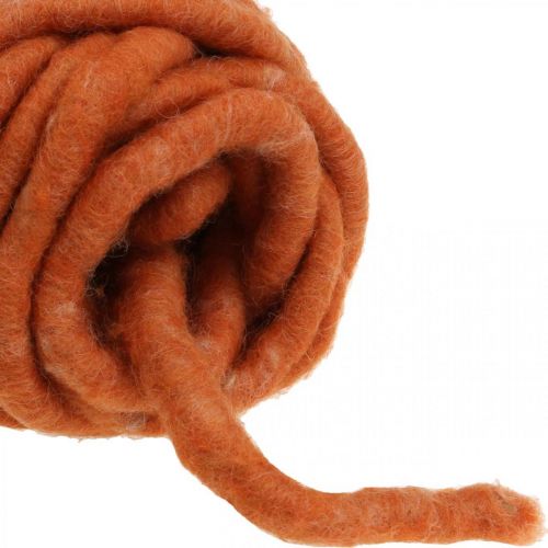 Artículo Cordón de fieltro, cordón de lana, cordón de fieltro, lana de oveja, yute, naranja, L30m