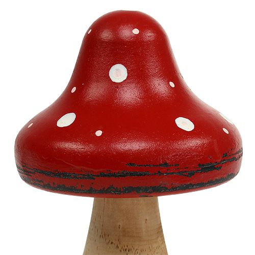 Floristik24 Toadstool de madera 21cm