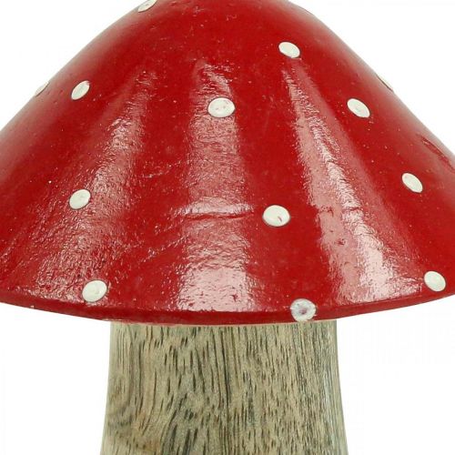 Floristik24 Fly agaric deco seta de madera decoración de otoño madera 10×8cm