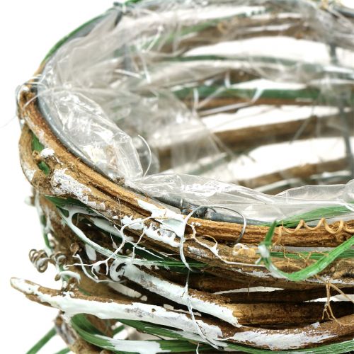 Floristik24 Planta de sauce cornucopia H20cm