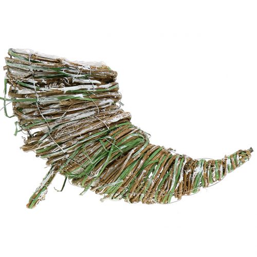 Floristik24 Planta de sauce cornucopia H20cm