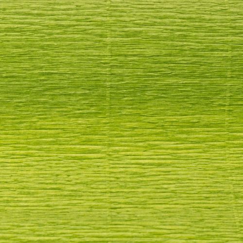 Artículo Papel crepé para floristería, papel crepé para floristería, verde hierba, 50×250 cm, 5 unidades
