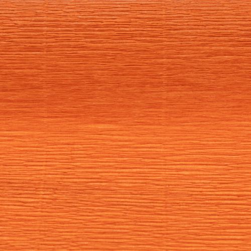 Papel crepé para floristería, rollo naranja, 50x250cm | Floristik24.es